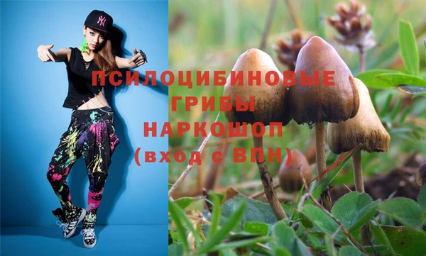 синтетический гашиш Алексин