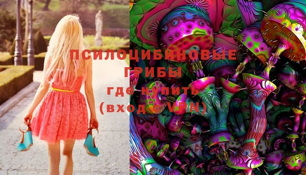 спайс Алзамай
