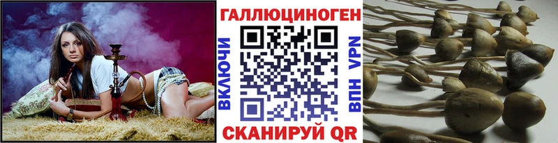 Псилоцибиновые грибы MAGIC MUSHROOMS Урай